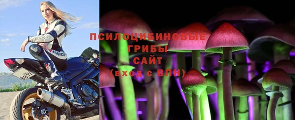 ПСИЛОЦИБИНОВЫЕ ГРИБЫ Карпинск