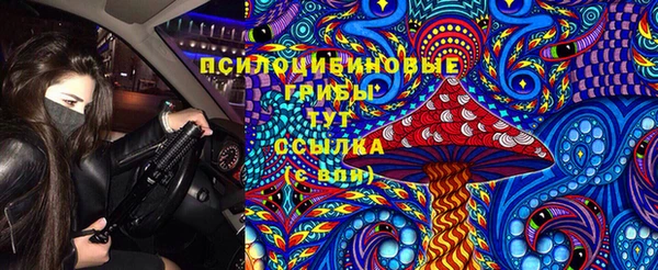 гашик Абинск