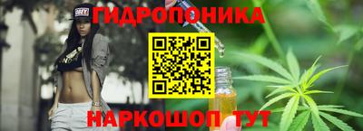 гашик Бердск